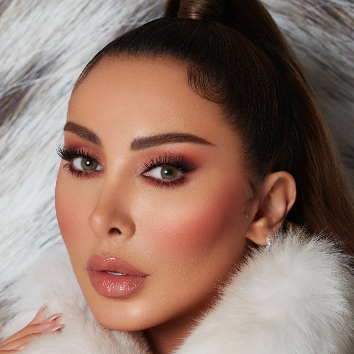 Eyecandy Lenses Wild Collection B6 Lynx Hazel D14.20 BC 8.60 (Plano)