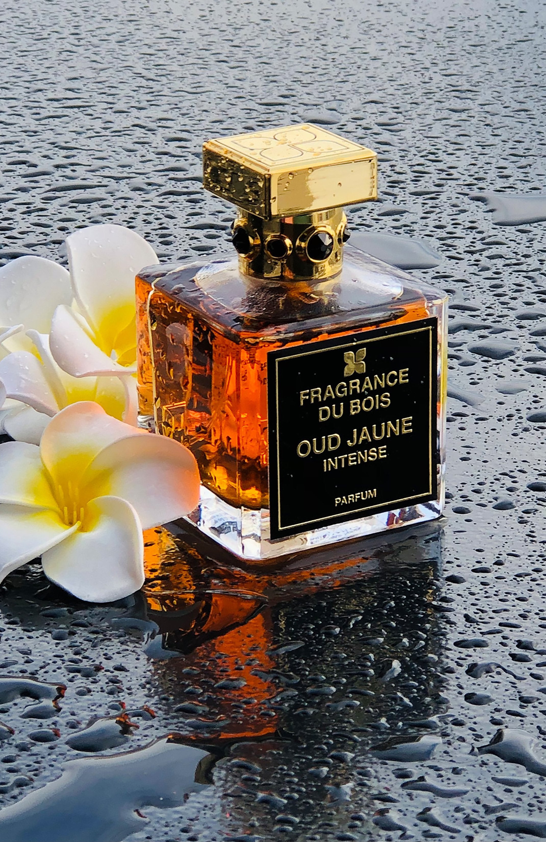 Fragrance Du Bois Oud Jaune Intense Parfum 100ml — Unisex Amber Floral