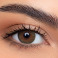 Lensme La Bella Colored Contact Lenses