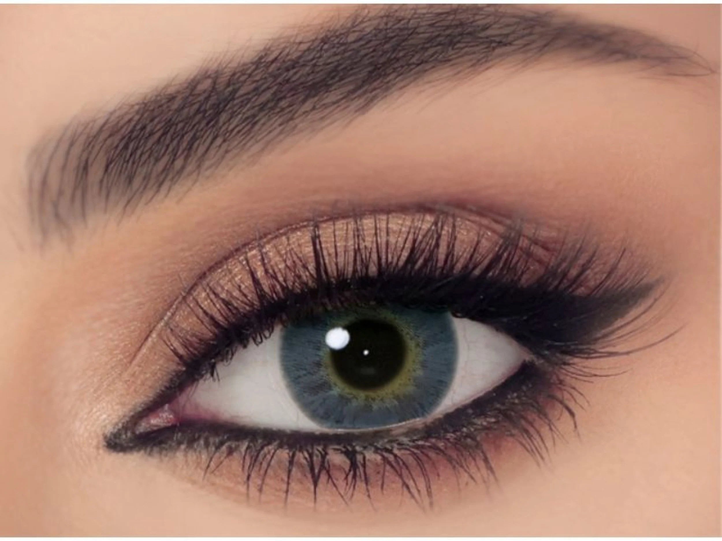 Celena One Day Deep Blue D14.20 BC 8.60 Daily Disposable 55% H2O Methafilcon (Plano)